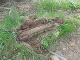 DSCN2404