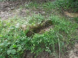 DSCN2405