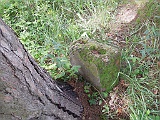 DSCN2408