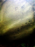 Danylovo-tombstone-08