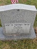 ABRAMS-W-Saul