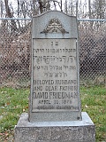 FRIEDMAN-David