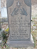 HERMAN-Philip