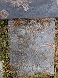 Illegible-4