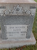 MOSS-Theodore