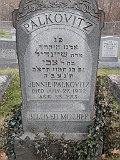 PALKOVITZ-Jennie