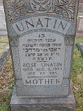 UNATIN-Rose