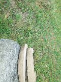 Dubove-tombstone-132