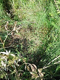 Dubrynychi-tombstone-17