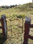 cemetery
gate tn