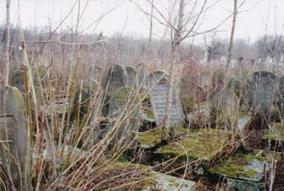 cemetery cropped