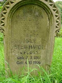 MaxSteinhardt.jpg