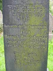 hannah-honigsberger.jpg