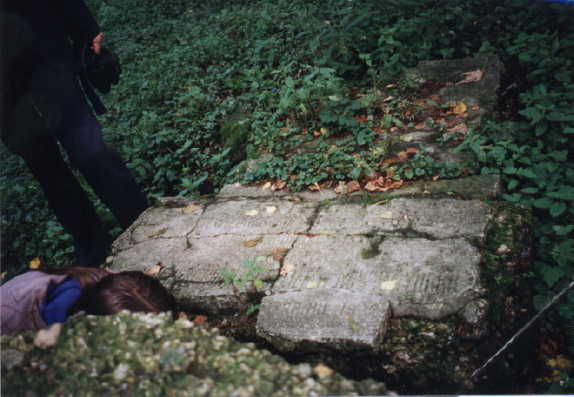 HOROD1