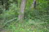 Mass Grave of Horodenka Martyrs