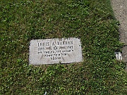 BARRON-Lewis-A