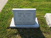 BLOOM-Harold