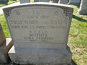 FEINBERG-Dora