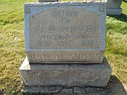 FRIEDLANDER-Liba-Fayga