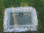 GEIER-Sadye