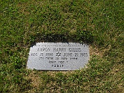 GILLIS-Aaron-Harry