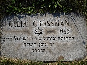 GROSSMAN-Celia