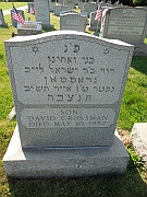 GROSSMAN-David