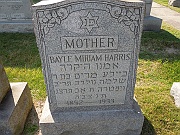 HARRIS-Bayle-Miriam