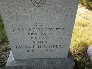 HOCHBERG-Tauba-P