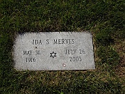 MERVIS-Ida-S