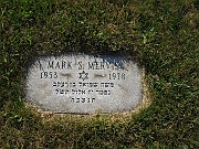 MERVIS-Mark-S