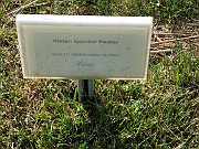 POSTER-Vivian-Spector