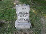 RUBIN-Isadore