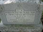 SAPOLSKY-Anna
