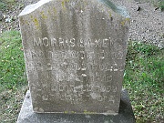 SAXEN-Morris