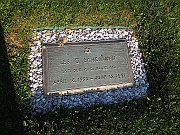 SCHEINMAN-Lee-G