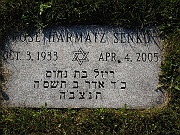 SENKO-Rose-Hartmatz