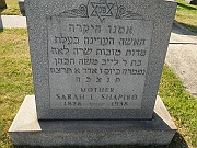 SHAPIRO-Sarah-I