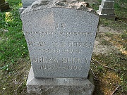 SHIRLY-Dreza