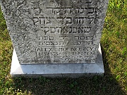 SHOFNOSKY-Alex