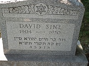 SINE-David
