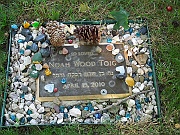 TOIG-Noah-Wood