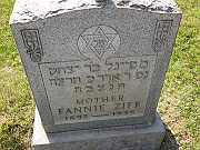 ZIFF-Fannie