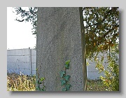 P1040598