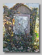 P1040625