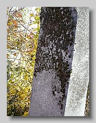 P1040627