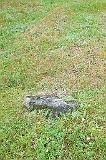 Hanichi-tombstone-015a