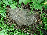 Holiatyn-Cemetery-stone-138