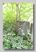 Holubyne-Cemetery-stone-195