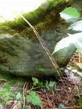 Horinchovo-tstone-047